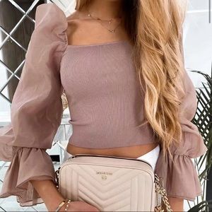 Zara Organza Sleeve Top